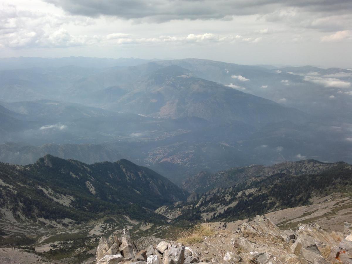 Gite Les Glycines Llupia Экстерьер фото